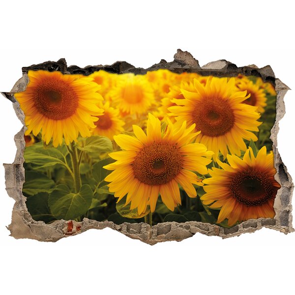 East Urban Home Wandtattoo Sonnenblumen Auf Dem Feld Wayfair De